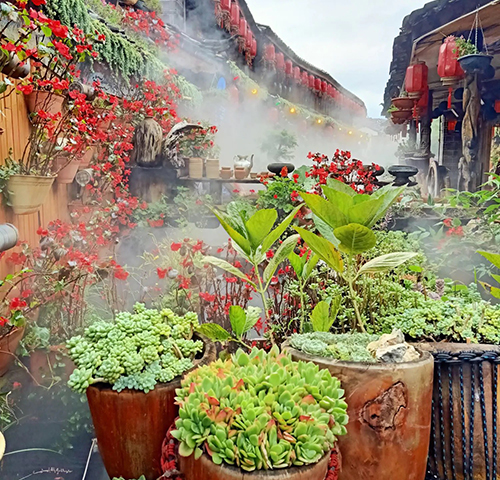 喷雾造景降温解决方案